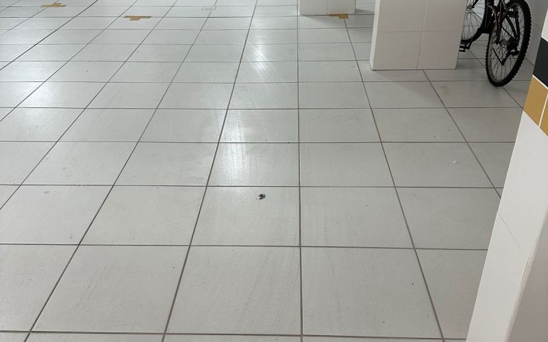 WhatsApp Image 2025-04-30 at 16.26.04