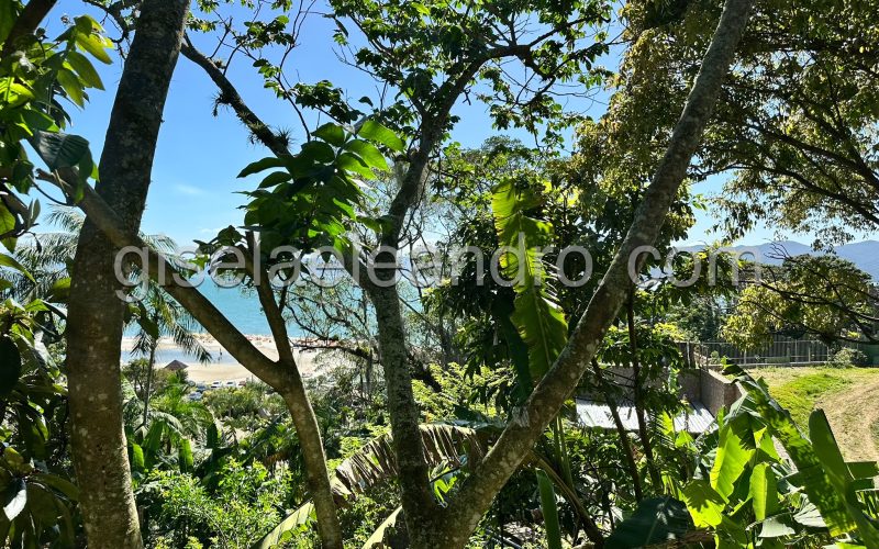 eZy Watermark_17-10-2025_11-59-15-1550AM